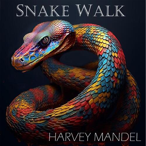 Harvey Mandel Snake Walk (CD) 