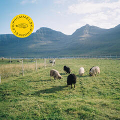 Himmelskip Den Siste Kvegdriver - LTD -SIGNERT (LP)