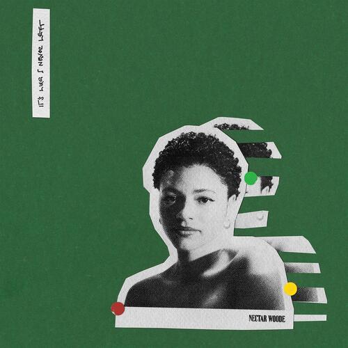 Nectar Woode It's LIke I Never Left (LP) 