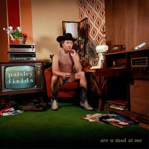 Paisley Fields Are U Mad At Me - LTD (LP) 