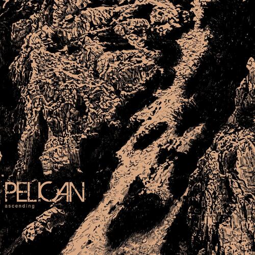 Pelican Ascending (12") 