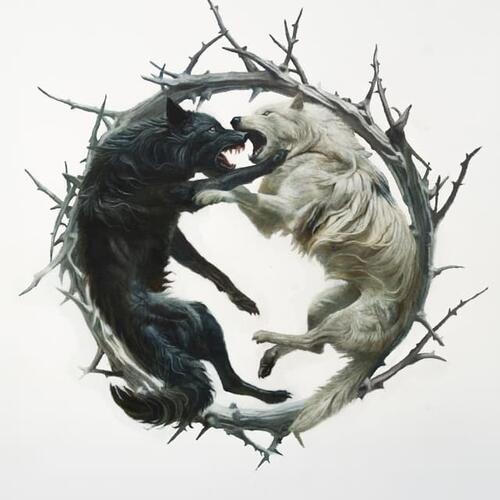 Stellar Circuits Phantom : : Phoenix (CD) 