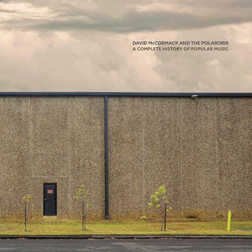 David McCormack And The Polaroids A Complete History Of… - LTD (LP) 