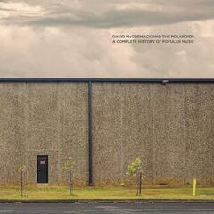 David McCormack And The Polaroids A Complete History Of… - LTD (LP)