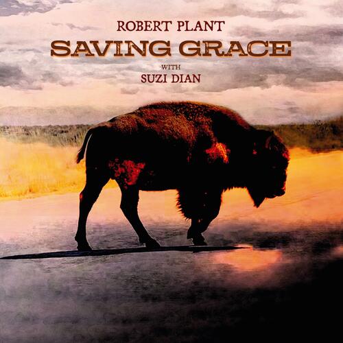 Robert Plant Saving Grace (LP) 