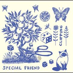 Special Friend Clipping (LP)