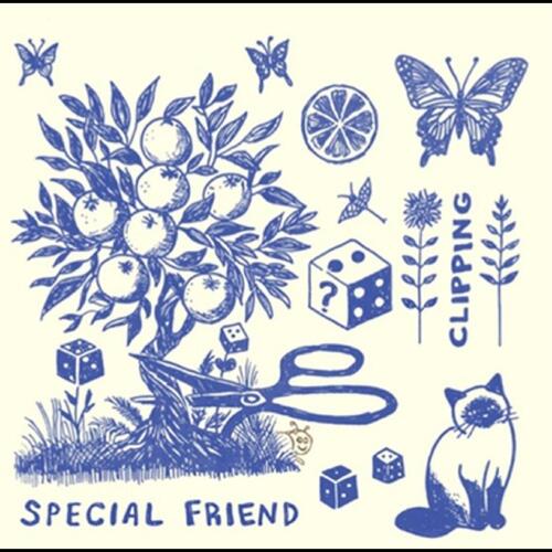 Special Friend Clipping (LP) 