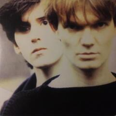 The House Of Love The House Of Love - LTD (2LP)