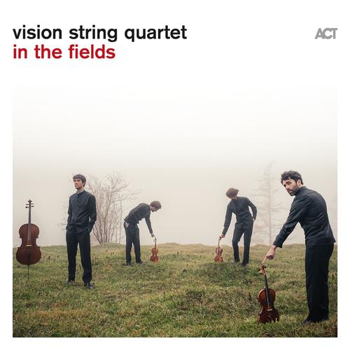 Vision String Quartet In The Fields (CD) 