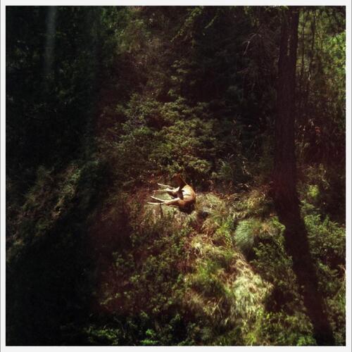 Will Samson Sings Again - LTD (LP) 