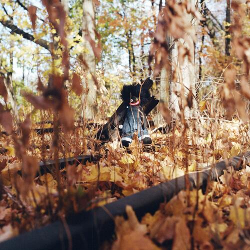 Billy Woods Golliwog (2LP) 