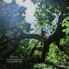 Bladverk Monumental Thrill, Monumental Chill (LP)