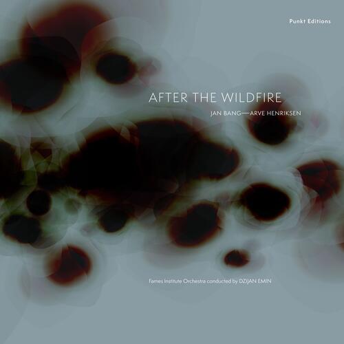 Jan Bang & Arve Henriksen After The Wildfire (LP) 