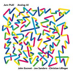 Jure Pukl Analog AI (LP)