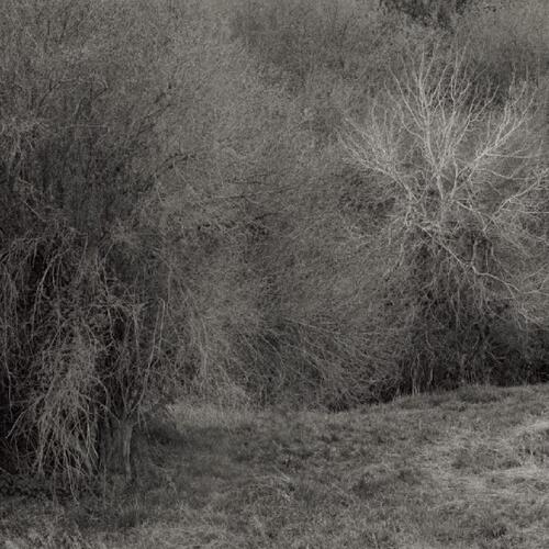 K. Leimer Atrophies For Piano (LP) 