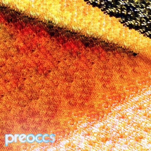 Preoccupations Mur/Ponr - LTD (7") 