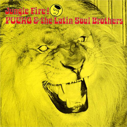 Pucho & The Latin Soul Brothers Jungle Fire ! (LP) 