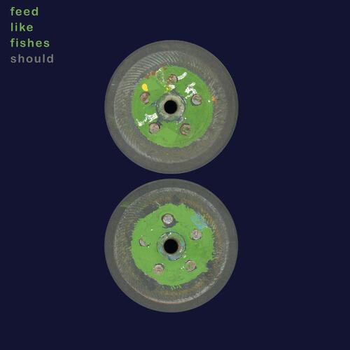 Should Feed Like Fishes - LTD (2LP) 