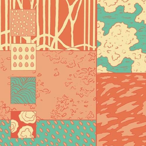 The Leaf Library After The Rain, Strange Seeds (CD) 