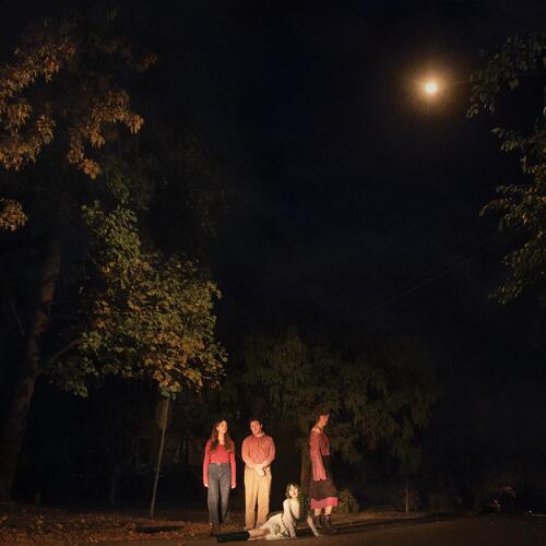 The Ophelias Spring Grove - LTD (LP) 