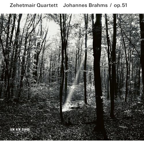 Zehetmair Quartett Brahms: Streichquartette Op. 51 (CD) 