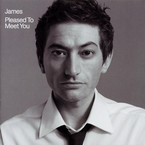 James Pleased To Meet You (2LP) 