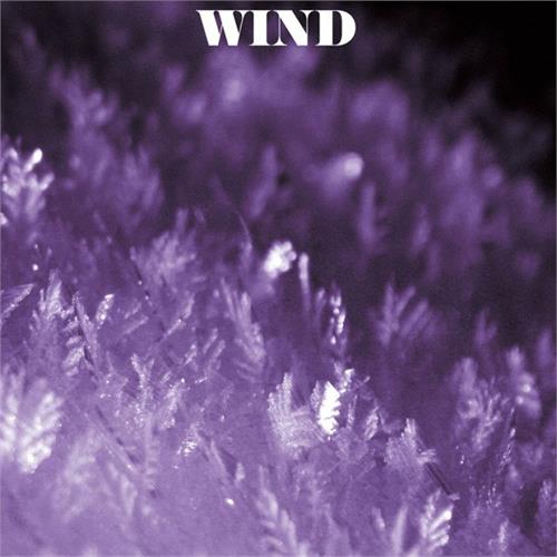 Wind and Friends Wind and Friends (LP)
