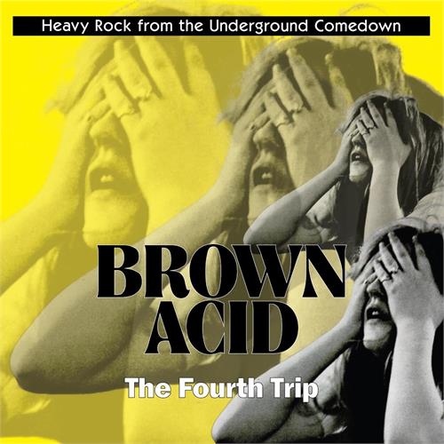 Diverse Artister Brown Acid - The Fourth Trip (LP)