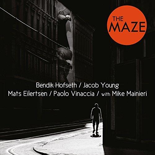 Hofseth/Young/Eilertsen/Vinaccia The Maze (LP)