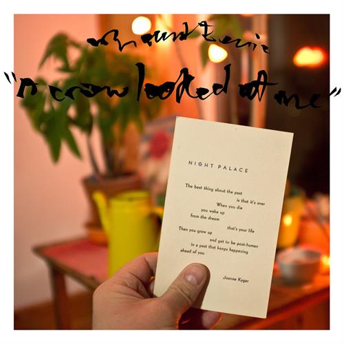 Mount Eerie A Crow Looked At Me (LP)