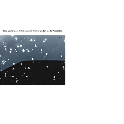 Tord Gustavsen / Tander / Vespestad What Was Said (2LP) 