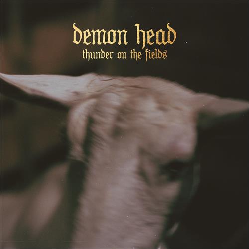Demon Head Thunder on the Fields (LP)