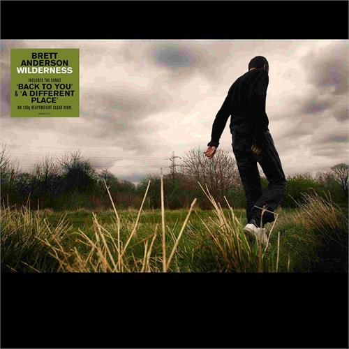 Brett Anderson Wilderness (LP)