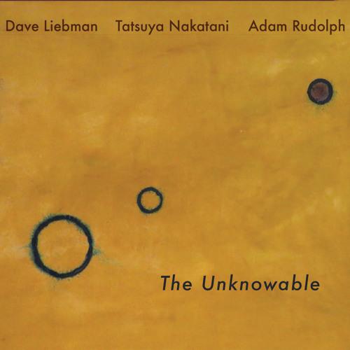 Dave Liebman/Tatsuya Nakatani/Rudolph The Unknowable (2LP)