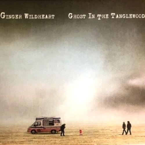Ginger Wildheart Ghost In The Tanglewood (LP)