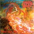 Morbid Angel Blessed Are The Sick (LP)