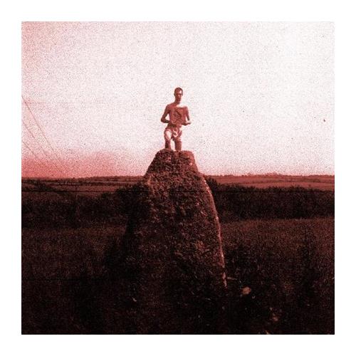 Mount Kimbie Love What Survives Remixes 1 (12")