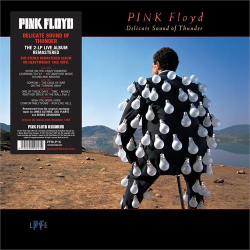 Pink Floyd Delicate Sound Of Thunder (2LP)