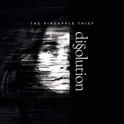 The Pineapple Thief Dissolution (LP) 