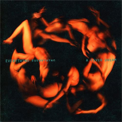 Everything Everything A Fever Dream (LP)
