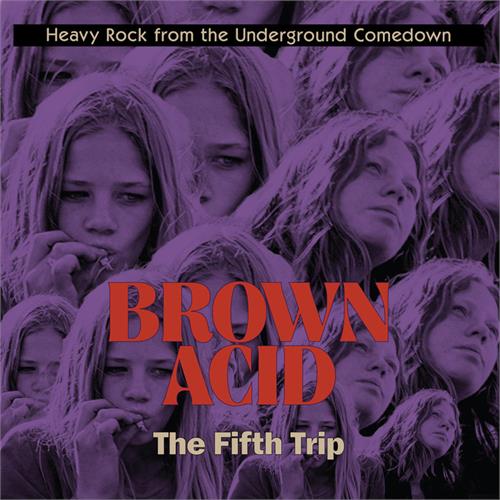 Diverse Artister Brown Acid - The Fifth Trip (LP)
