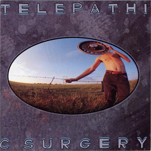 Flaming Lips Telepathic Surgery (LP)