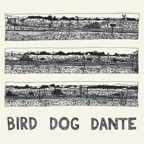 John Parish Bird Dog Dante (LP) 