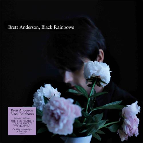Brett Anderson Black Rainbows (LP)