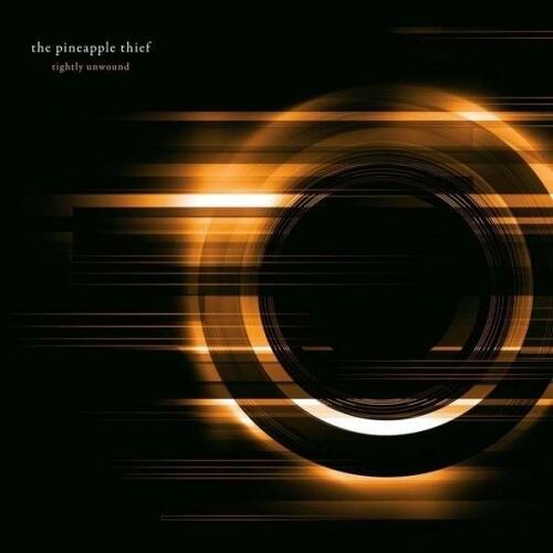 The Pineapple Thief Tightly Unwound (2LP) 