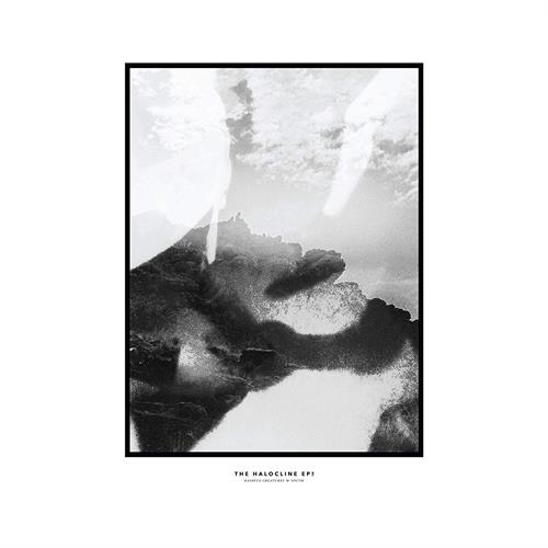 Hippo Campus The Halocline EPs (LP) 