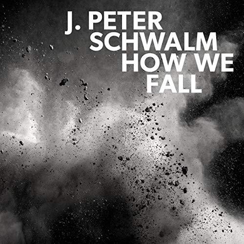 J.Peter Schwalm m/Eivind Aarseth How We Fall (2LP)