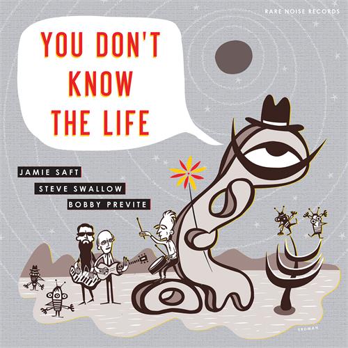 Jamie Saft, Steve Swallow, Bobby Previte You Don't Know The Life (LP)
