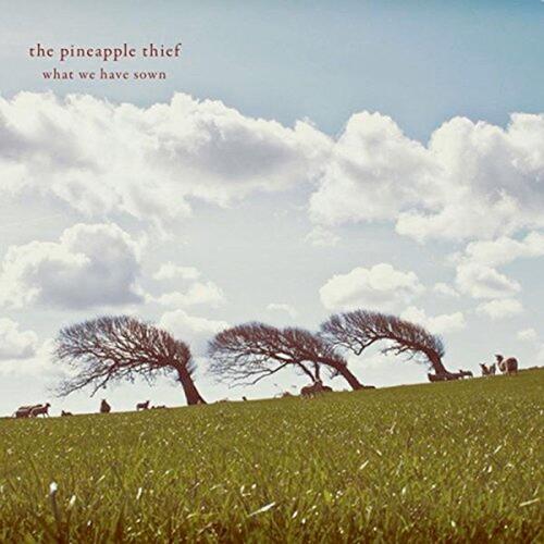 The Pineapple Thief What We Have Sown (2LP) 