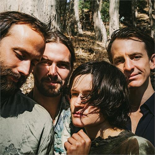 Big Thief Two Hands (LP)
